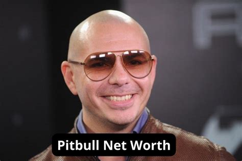 pitbull net worth 2022
